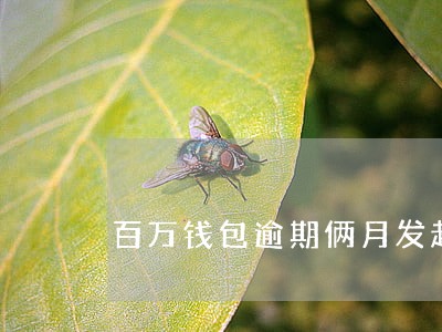 百万钱包逾期俩月发起仲裁 百万钱包逾期俩月发起仲裁