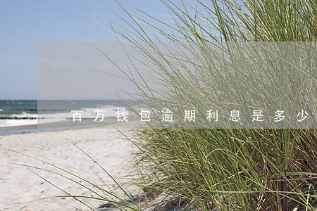 百万钱包逾期利息是多少钱 百万钱包逾期利息是多少钱