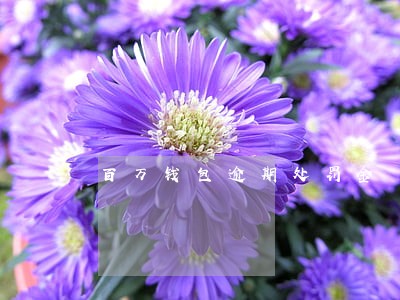 百万钱包逾期处罚金