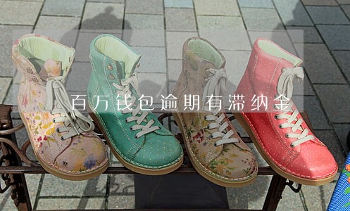 百万钱包逾期有滞纳金 百万钱包逾期有滞纳金