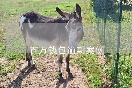 百万钱包逾期案例 百万钱包逾期案例