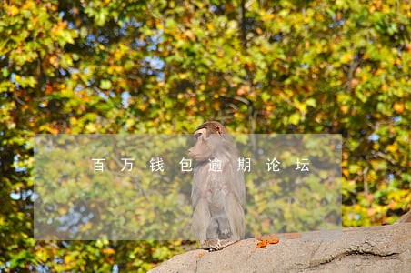 百万钱包逾期论坛 百万钱包逾期论坛