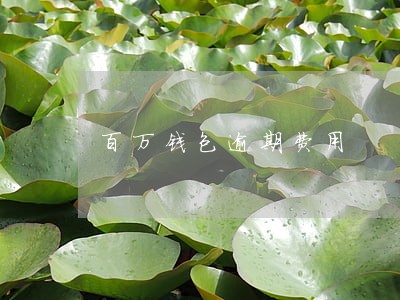 百万钱包逾期费用 百万钱包逾期费用