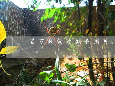 百万钱包逾期费用可以协商嘛 百万钱包逾期费用可以协商嘛