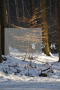 百万钱包逾期费用高吗 百万钱包逾期费用高吗