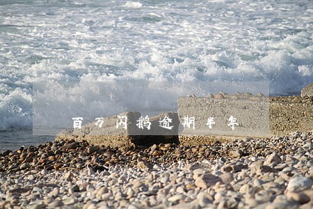 百万闪鹅逾期半年 百万闪鹅逾期半年