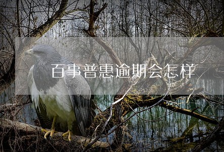 百事普惠逾期会怎样