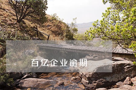 百亿企业逾期