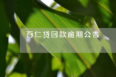 百仁贷回款逾期公告
