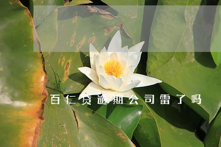 百仁贷逾期公司雷了吗