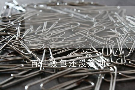 百仕钱包还没逾期