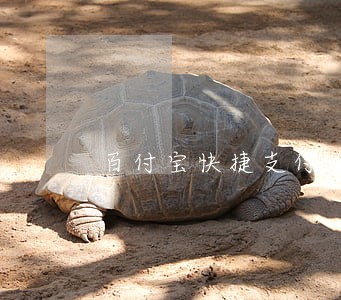 百付宝快捷支付逾期上征信吗
