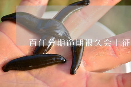 百仟分期逾期很久会上征信吗