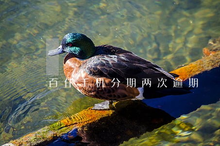 百仟手机分期两次逾期 百仟手机分期两次逾期