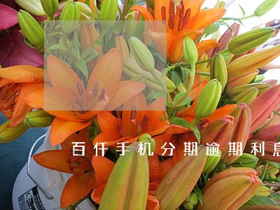 百仟手机分期逾期利息 百仟手机分期逾期利息