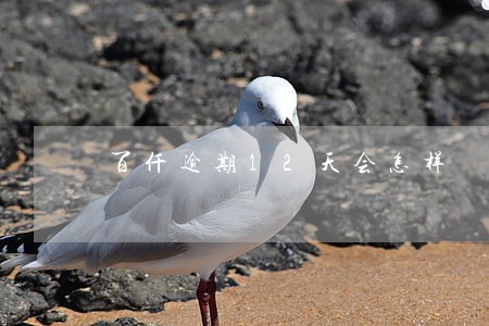 百仟逾期12天会怎样 百仟逾期12天会怎样