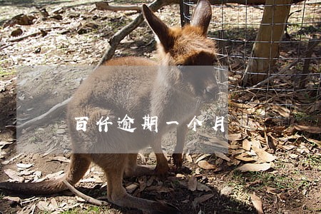 百仟逾期一个月