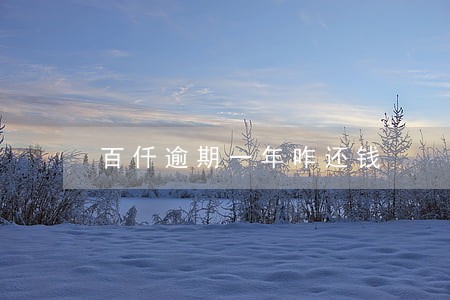 百仟逾期一年咋还钱 百仟逾期一年咋还钱