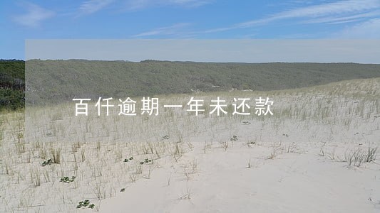 百仟逾期一年未还款 百仟逾期一年未还款