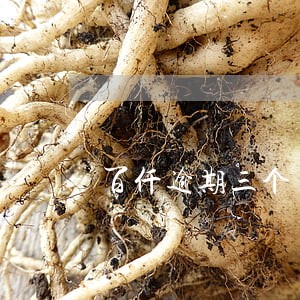 百仟逾期三个月 百仟逾期三个月