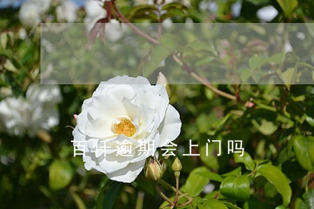 百仟逾期会上门吗 百仟逾期会上门吗