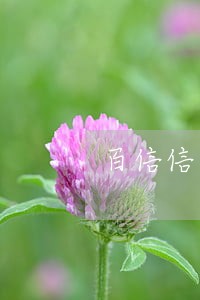 百信信用公众号逾期信息