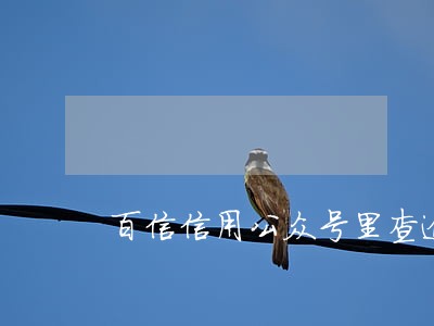 百信信用公众号里查逾期信息 百信信用公众号里查逾期信息