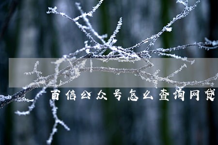 百信公众号怎么查询网贷逾期 百信公众号怎么查询网贷逾期