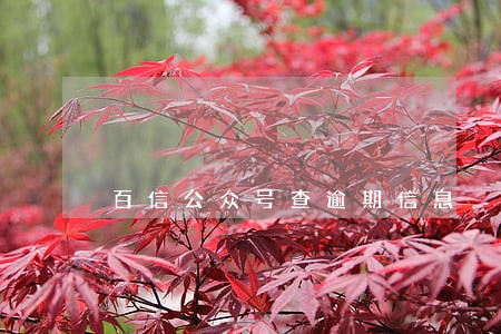 百信公众号查逾期信息 百信公众号查逾期信息
