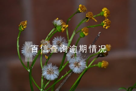 百信查询逾期情况