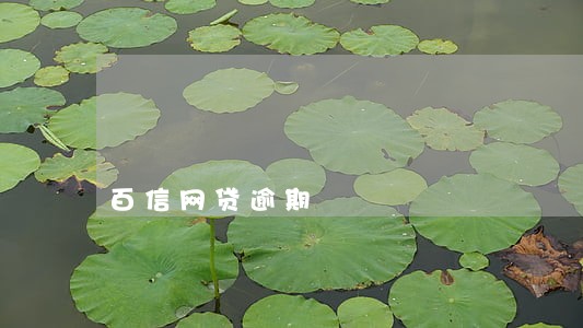 百信网贷逾期 百信网贷逾期
