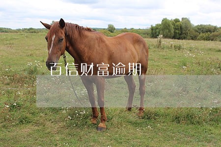 百信财富逾期 百信财富逾期