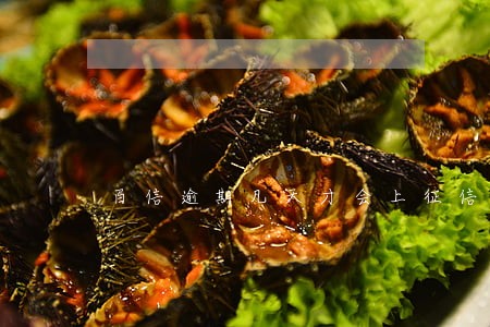 百信逾期几天才会上征信