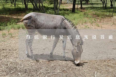 百信银行发信息来说我逾期 百信银行发信息来说我逾期