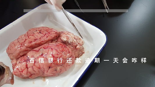 百信银行还款逾期一天会咋样 百信银行还款逾期一天会咋样