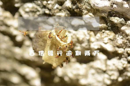 百信银行逾期两万 百信银行逾期两万