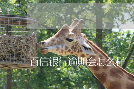 百信银行逾期会怎么样 百信银行逾期会怎么样