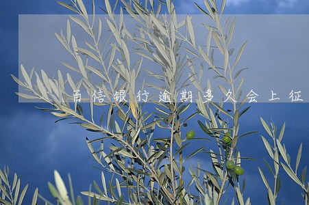 百信银行逾期多久会上征信 百信银行逾期多久会上征信