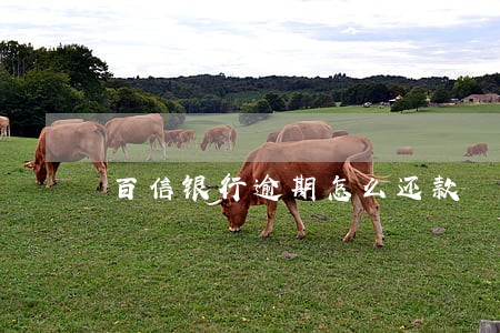 百信银行逾期怎么还款