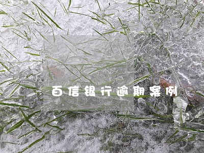 百信银行逾期案例 百信银行逾期案例