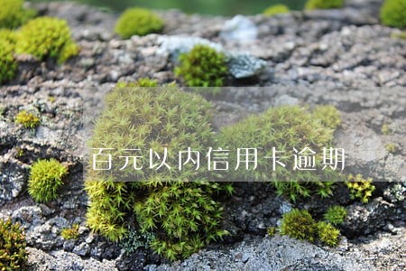 百元以内信用卡逾期