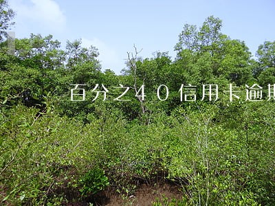 百分之40信用卡逾期