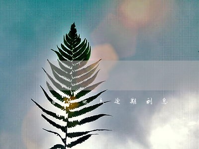 百分之六逾期利息 百分之六逾期利息