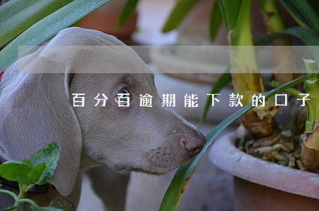 百分百逾期能下款的口子 百分百逾期能下款的口子
