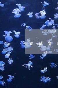 百分贷逾期多久会上征信 百分贷逾期多久会上征信