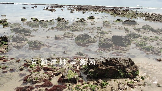 百勤律师事务所 百勤律师事务所