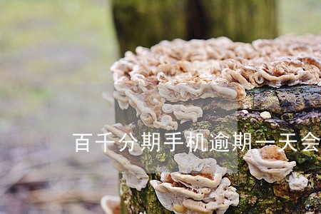 百千分期手机逾期一天会上征信吗 百千分期手机逾期一天会上征信吗