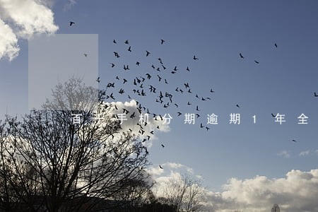 百千手机分期逾期1年全部还了 百千手机分期逾期1年全部还了