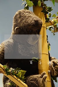 百千逾期一个月严重吗 百千逾期一个月严重吗