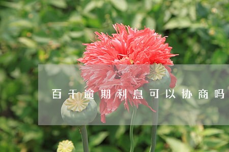 百千逾期利息可以协商吗 百千逾期利息可以协商吗